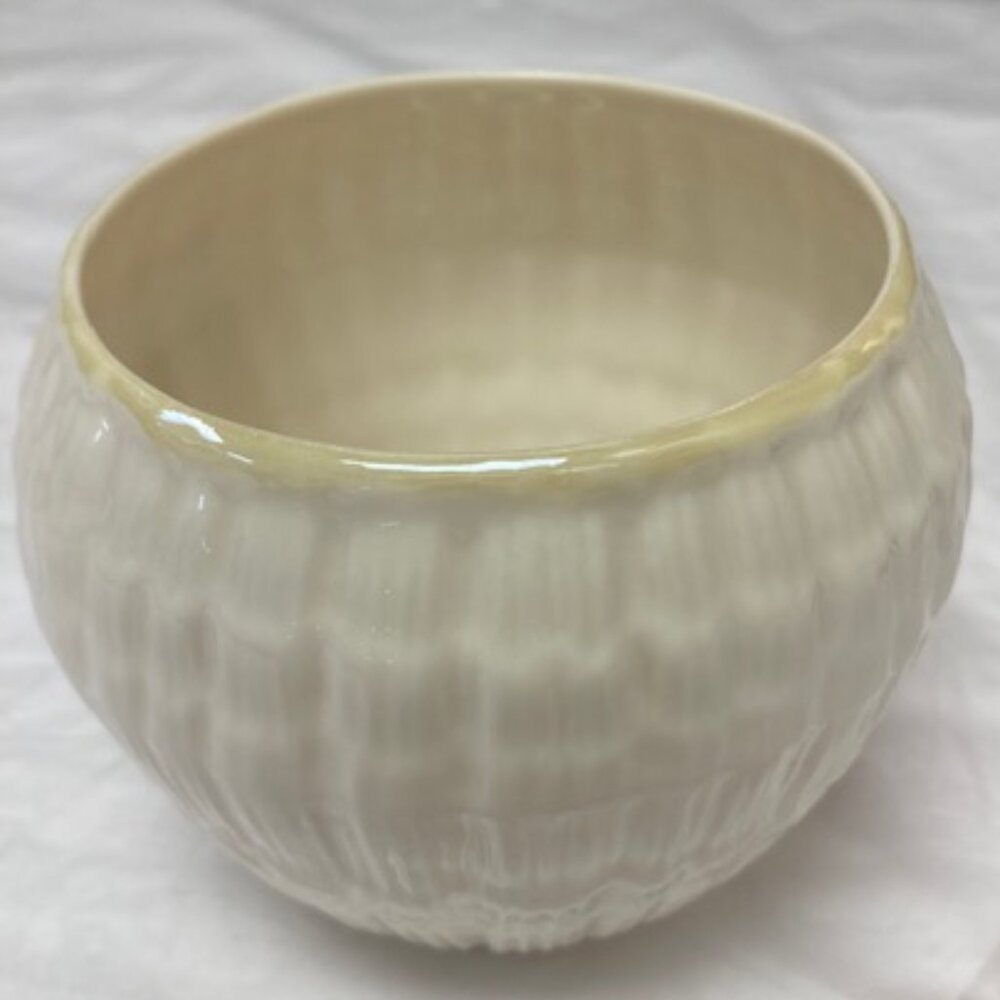 Belleek Pottery Limpet Sugar